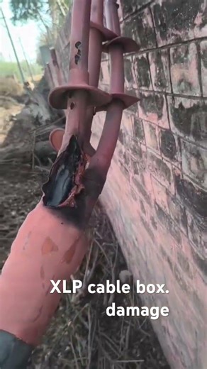 11kv xlp cable box damage