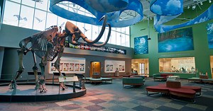 'Tree of Life' events celebrate Earth's biodiversity with digital art