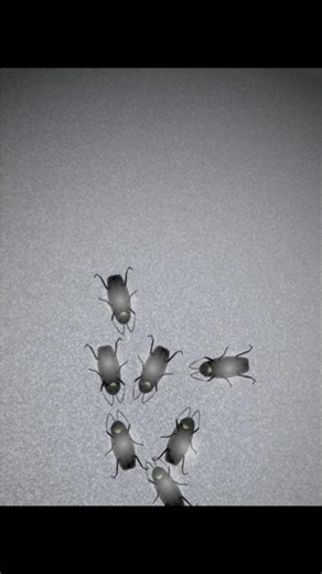 "ఒక కాక్రోచ్ చస్తే… పది ఎందుకు వస్తాయి?"