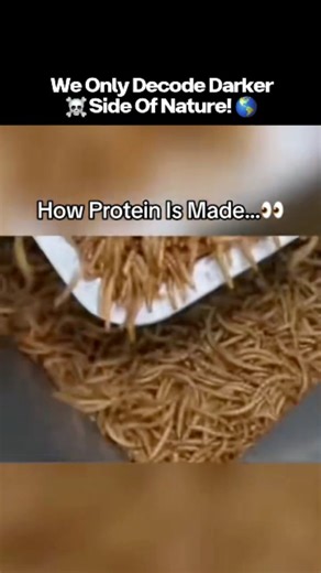 Decoding Worlds – Nature’s Darkest Secrets on Instagram: "👁️🌑 Things Humans Were NEVER Meant to See ⚠️🌍 The human mind evolved for survival — not for truth. Some sights were meant to stay hidden… because once seen, they change how you understand reality forever. 🧠 Why These Things Break the Human Brain: 🌌 Beyond Our Senses: Too vast, too deep, too ancient to comprehend 🕳️ Forbidden Places: Areas no human should ever reach — yet some have 👁️ Scale & Darkness: Size, depth, and silence that 