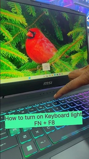 How to Turn On Keyboard Lights in MSI katana Shortcut #laptop #viralvideo #msi gaming #shortvideo
