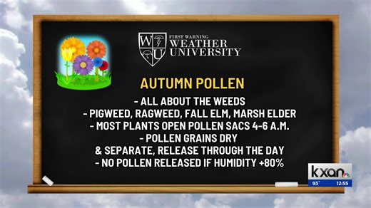 Autumn pollen is on its way! Here's what to know about the new wave of pollen... and ensuing allergies. | KXAN News