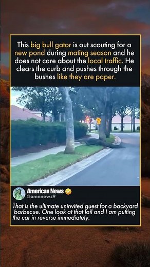 FLORIDA MORNING COMMUTE GETS VERY WILD