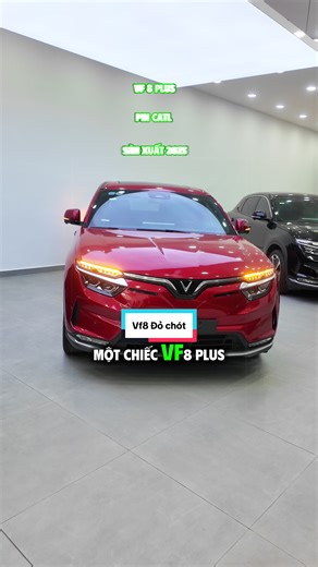 Dạo này mọi người tìm xe đỏ nhiều thế #hoangsubie #vinfast #review #gf #vinfastvf8