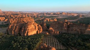 Aerial View Trees Green Bushes Growing Stock Footage Video (100% Royalty-free) 1104232189 | Shutterstock