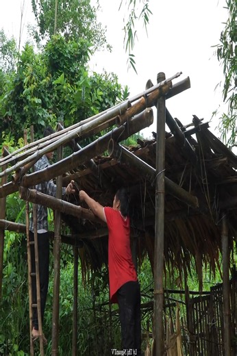 98K views · 2.3K reactions | Building our bamboo home together, even in the rain! ️ #BambooBuild #RainyDayProject #viralreels #trendingvideos | Infoworld | Facebook