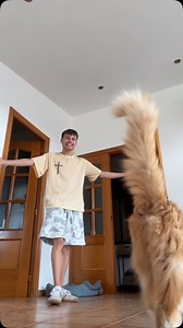 El gato afonico ha vuelto😂😂 | Marçal Mulet Mañe