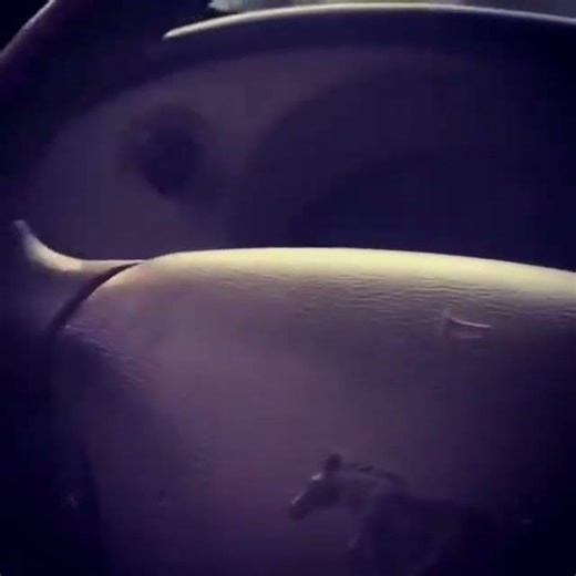 My 2004 mustang gt beating 2 12 inch kicker cvx in a qbomb box