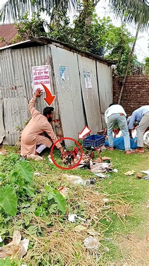 Chicken farming technology 😂🤣 #funny #comedy