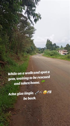 Should I come back and get it? #slowliving #flowers #plants #naturewalk #Walk