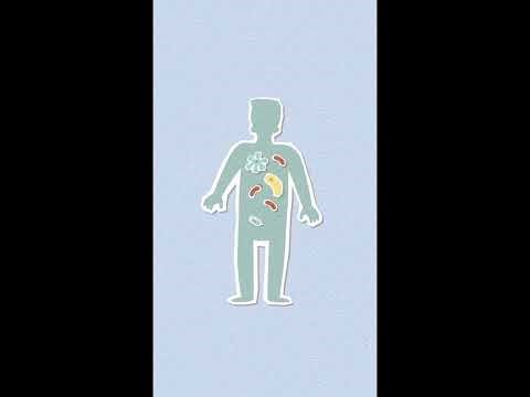 DIGESTIVE HEALTH OF HUMAN || DIGESTIVE HEALTH OF HUMAN