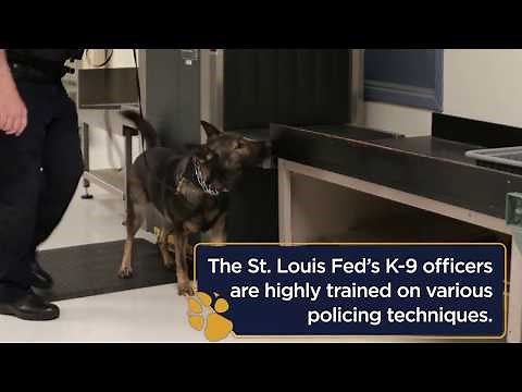 How K-9 Dogs Find Explosives | St. Louis Fed