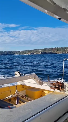 She said yesss!!!! 💍❤️ #engagement #foryoupage #fyp #relationship #sydney #ring @Nina Hayes