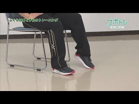 【スポトレ】椅子に座ってトレーニング① ～ふくらはぎとすねのトレーニング～