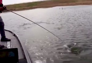 5.8K views · 255 reactions | Are you guys streaming Pro Vs. Joe yet? Watch Pro vs. Joe shows on the Plex network hosted on the Wired2fishTV channel • Our shows air every Monday-Friday at 10:00-11:00am pst and 9:00-10:00pm pst and Saturdays and Sundays at 4:00-6:00pm pst • Download the Plex app and enjoy unlimited free viewing of Wired2fishTV, the world's #1 24/7 fishing channel #kastking #tritonboats #trokar | Brent Chapman | Facebook