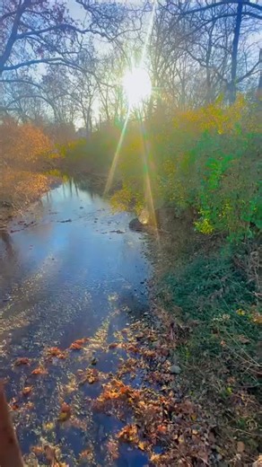 The sound of water stimulates and relaxes the nervous system. Great for anxiety great for root Chakra work and creating safe feeling within your body . | Jamie Misra