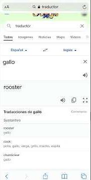 Ya intentaron escribir la palabra GALLO 🐓 en el traductor de Google...#shorts