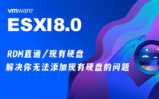 ESXI8.0 一个简单的配置解决你无法添加现有硬盘的问题，RDM直通，现有硬盘轻松添加。