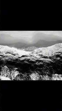 [FREE] BONES TYPE BEAT - "TIDES" no tags #bones #teamsesh #typebeat