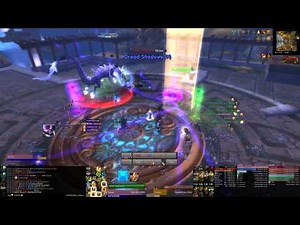 Terrace of Endless Spring - Heroic Tsulong - Holy Paladin PoV