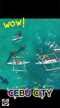 Top Places to Visit in the Philippines(Bucket List Travel Guide!)#facts #paradisephilippines #travel