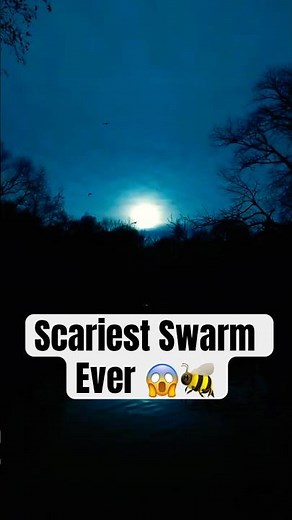 The Scariest Insect Swarm Ever Discovered 🐝😱 | Deadly Facts