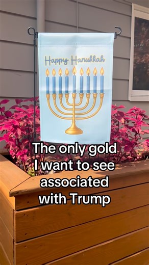 When the menorah’s got more moral integrity than half of Congress ✨🕎💙 #gratefulthreadco #hiddenmessage #gardenflag #bluewave #happyhanukkah 🛍️ Shop now at gratefulthreadco.com ✨ Get 10% off your first order with code THANKS10 📦 Each order donates to good causes 💙 SHOP LINKS IN BIO | Grateful Thread Co.