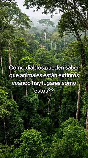 Animales en Peligro de Extinción en la Selva Amazónica