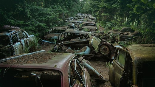 'Traffic jam forest' of abandoned cars ditched by troops in 'golden era'