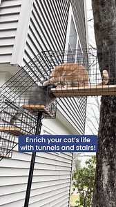 15K views · 16K reactions | Clear instructions. Quality materials. Hardware included. Set up pre-designed or custom catios, all made for an easy DIY install. | Habitat Haven | Facebook