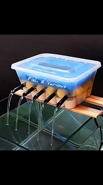 Aquarium Top Filter DIY| #aquariumfilter #aquariumfiltration #aquarium #aquariumsetup #fishtank #filter