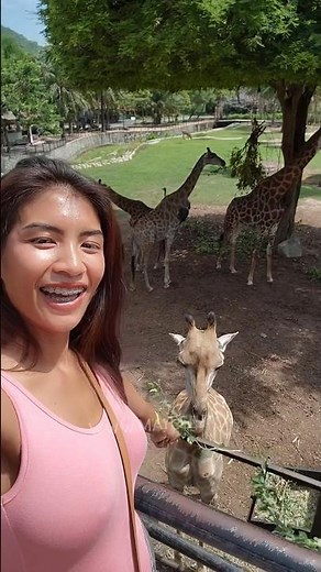 Maylee Fun | Khao Khew Open Zoo