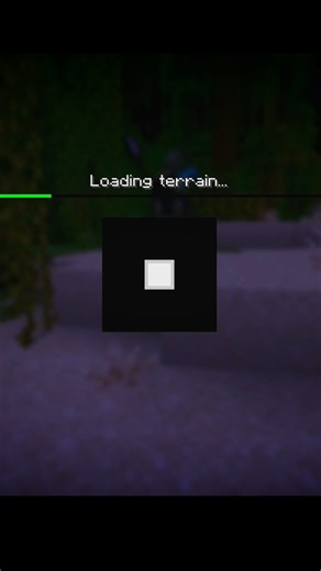 I thought the chunk was not loading 😕#minecraft#shorts