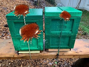 MiniPlus 2 ! Varroa Kontrolle nach der Winterbehandlung!Oxalsäure! Basteln Imkern Bienen