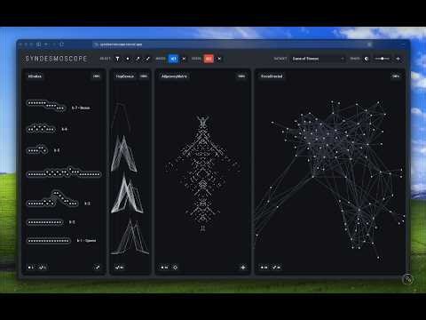 Syndesmoscope: The Power of Invariant Plots Linked to Traditional Network Views