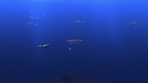 【电脑屏保】Digifish Dolphin