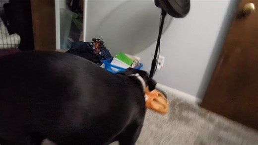 When a dog is anxious/fearful/hesitant/unsure/scared/anything u want...