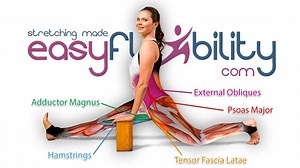 True Front Split Beginner