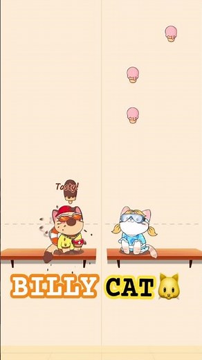 Billy Cat - Duet Cats - lovely and sweet couple #meowing #cutecat #cute #duetcats #shorts #popcat