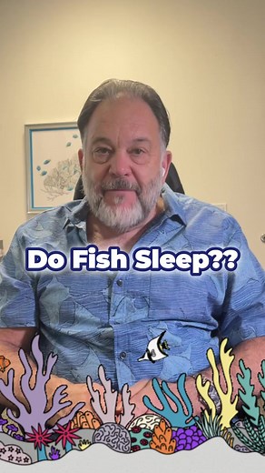 Do Fish Sleep?? What do your fish do when you sleep? The question ""Do fish sleep?"" is often asked. The answer, interestingly, varies with the species of fish. Some fish choose to nestle into the substrate, the layer at the bottom of your aquarium, and remain unseen until the break of dawn. Others may wedge themselves in the rocks. However, don't anticipate seeing your fish with their eyelids shut - they don't have any! Dive deeper into the aquatic world with Dr. Tim's Aquatics. Share this vide