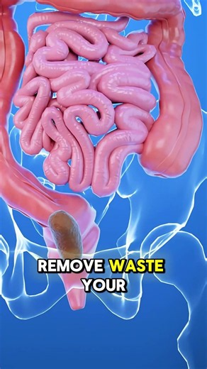 Why Do We Poop Every Day? 💩🤔