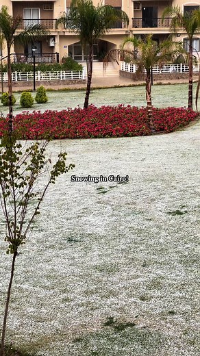 Snowing in Cairo: A Rare Winter Phenomenon in Egypt