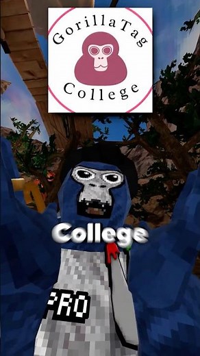 PROFESSOR PMA # #gorillatag #gtag