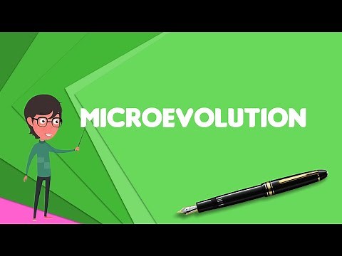 What is Microevolution? Explain Microevolution, Define Microevolution, Meaning of Microevolution