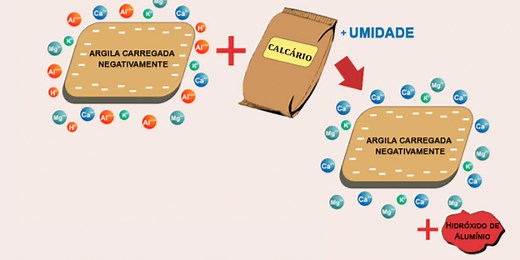O que é CTC? Como Calcular a CTC Efetiva? Para que Serve? – Mundo Ecologia