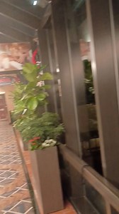 Travel | Johnny Trawick | Facebook