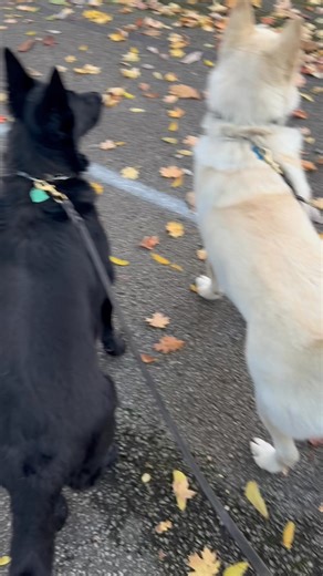 My boys and girl are so awesome | Mark West