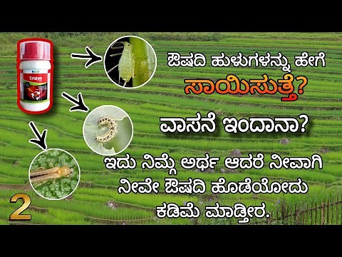 Mode of action of Insecticides | How Insecticides kill Insects | IRAC |