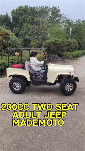 Yang Emily on Instagram: "200cc Off road Chain Drive Adult two seat Mini Jeep Go kart Factory #gokart #minijeep"