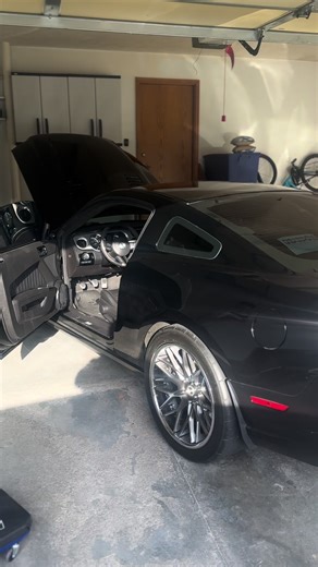 #fypシ #viral #gt500 #mustang | mustang gt 500